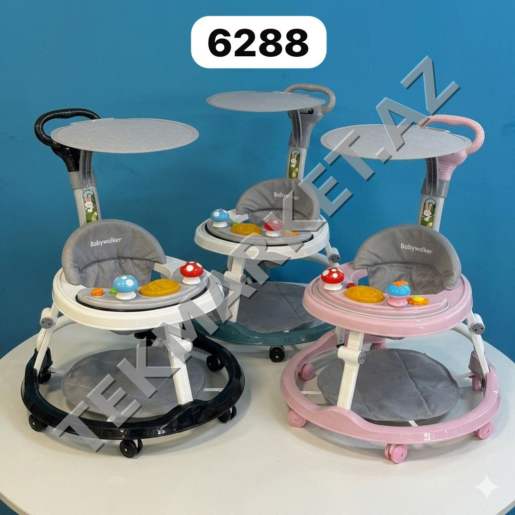 Təkərli uşaq yeridicisi_6288